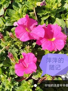 我们成食材了漫画